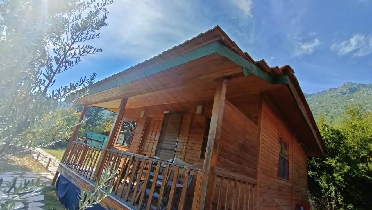 Lycia Nature House Çıralı エクステリア 写真